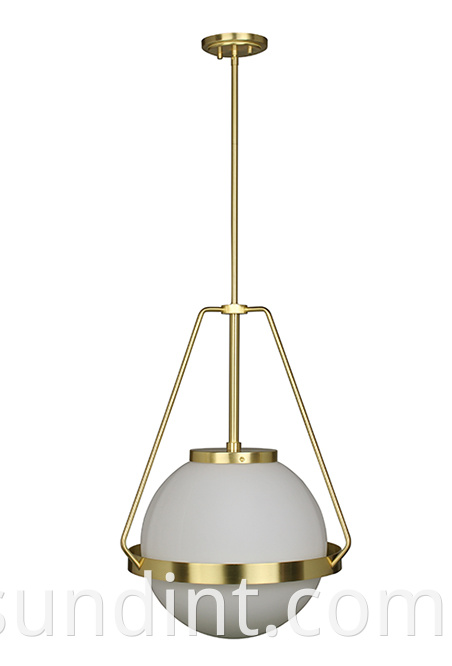 Zdp 5855 1l Indoor Decorative Pendant Light